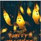 10FT 3M 20 Lights Halloween LED String Waterproof Steady On & Flash Light Modes